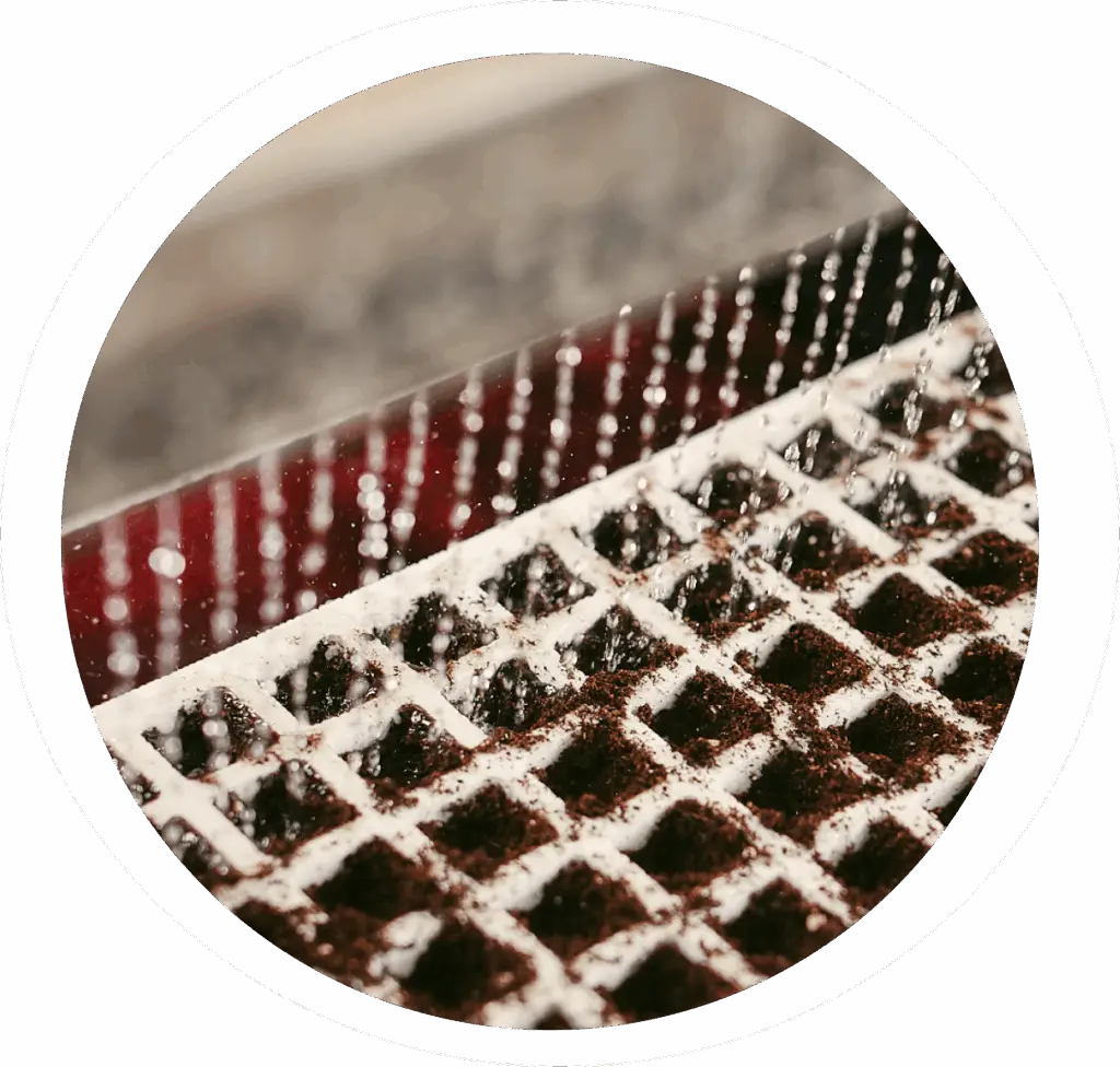 Utilizzo di acqua piovana per campi pomodori