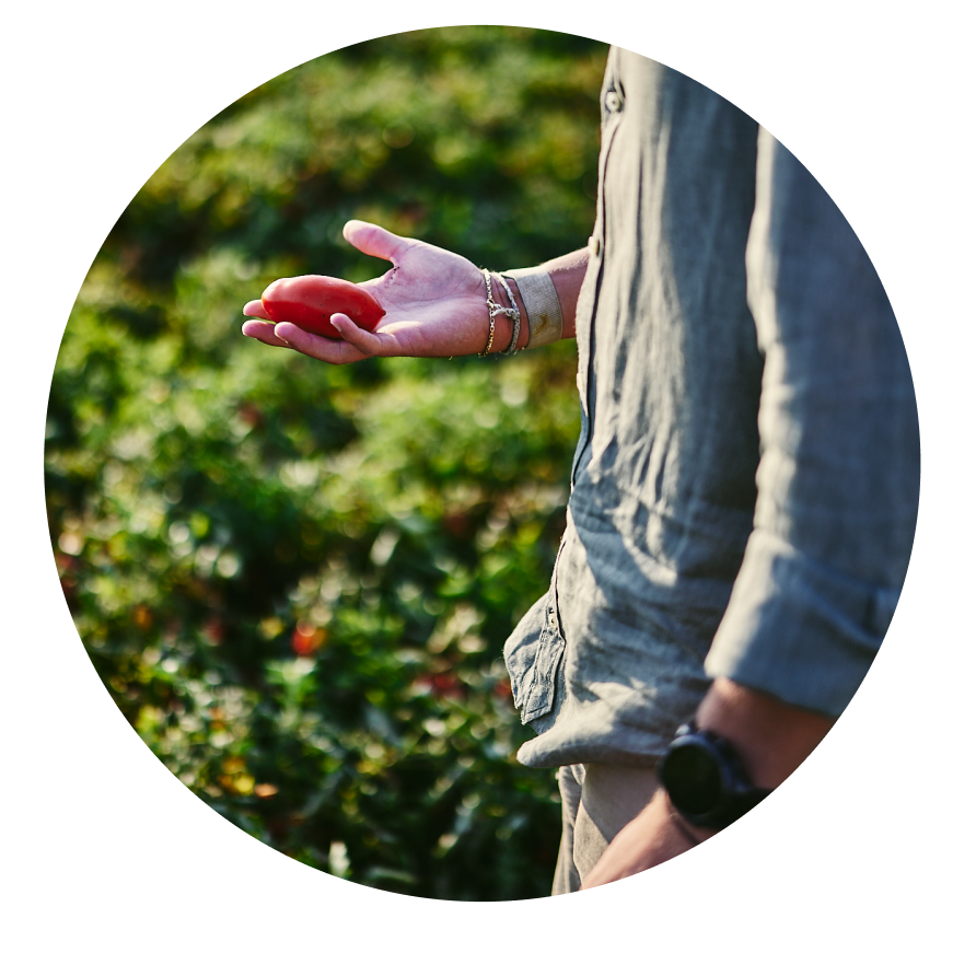 apod organizzazione produttiva puglia, lazio e sud italia