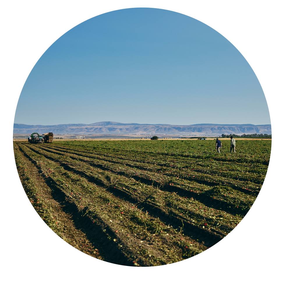 apod organizzazione produttiva certificata, certificazioni biologiche e standard