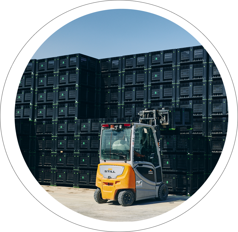 Smistamento e logistica pomodori e ortaggi puglia e sud italia