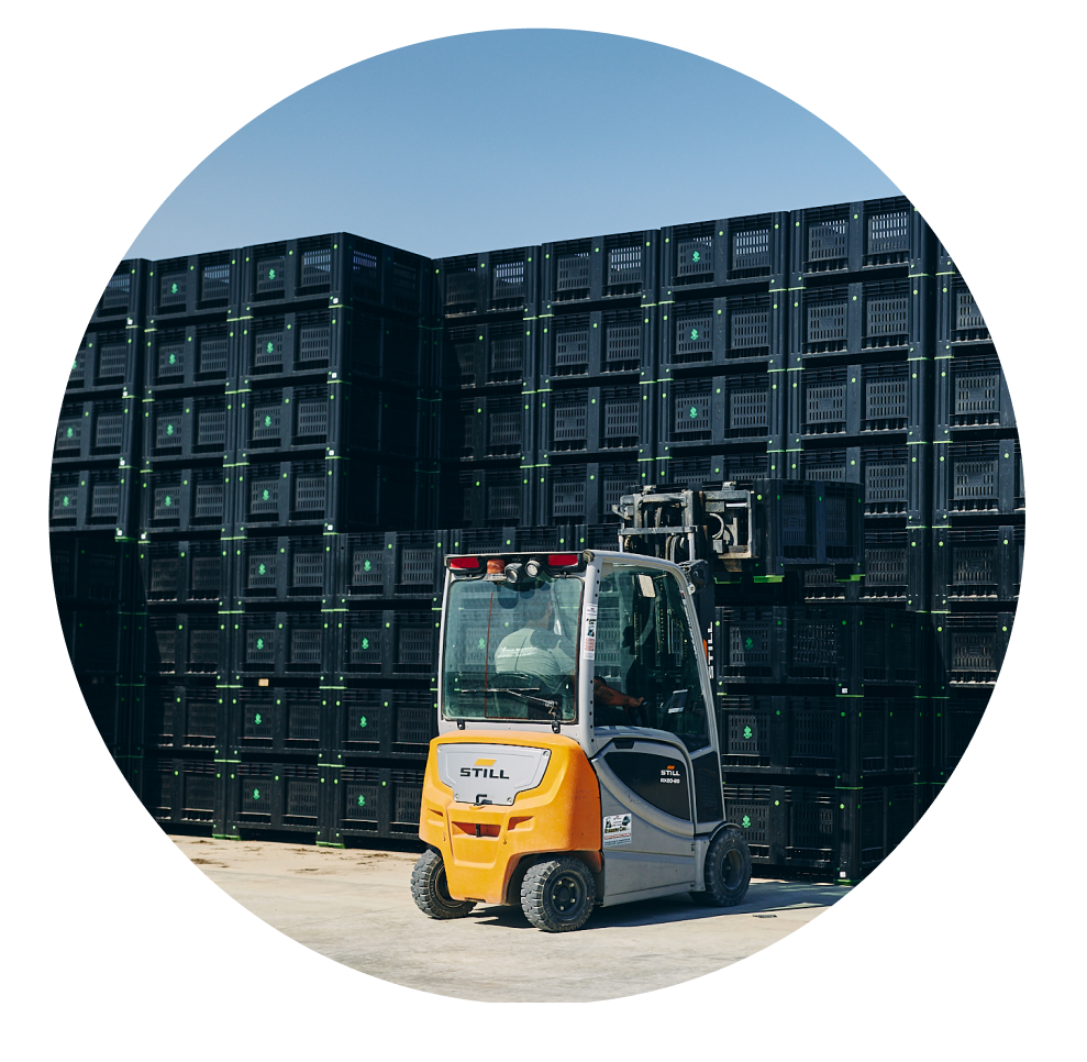 logistica prodotti ortofrutticoli puglia e sud italia