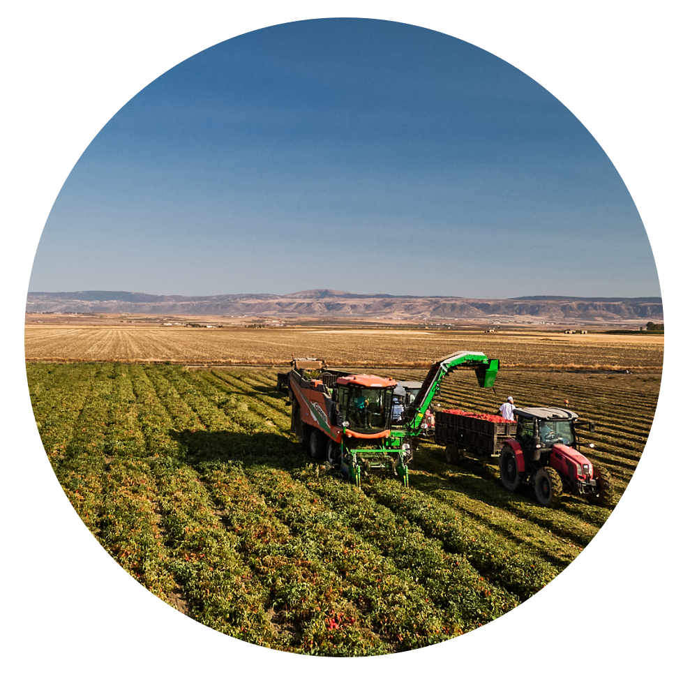 innovazione digitale per l'agricoltura, puglia, lazio e toscana