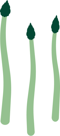 illustrazione asparagi