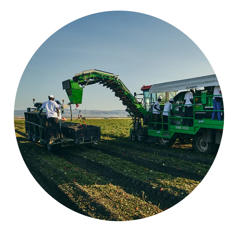 Attrezzature e mezzi agricoli consorzio di produttori