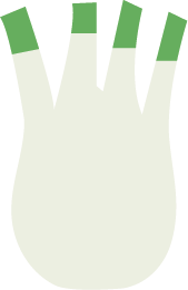 Icona finocchio femmina
