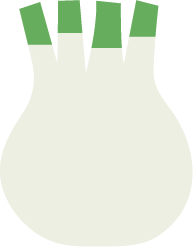 Icona finocchio maschio